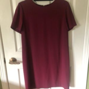 Babaton (Aritzia) short sleeved dress